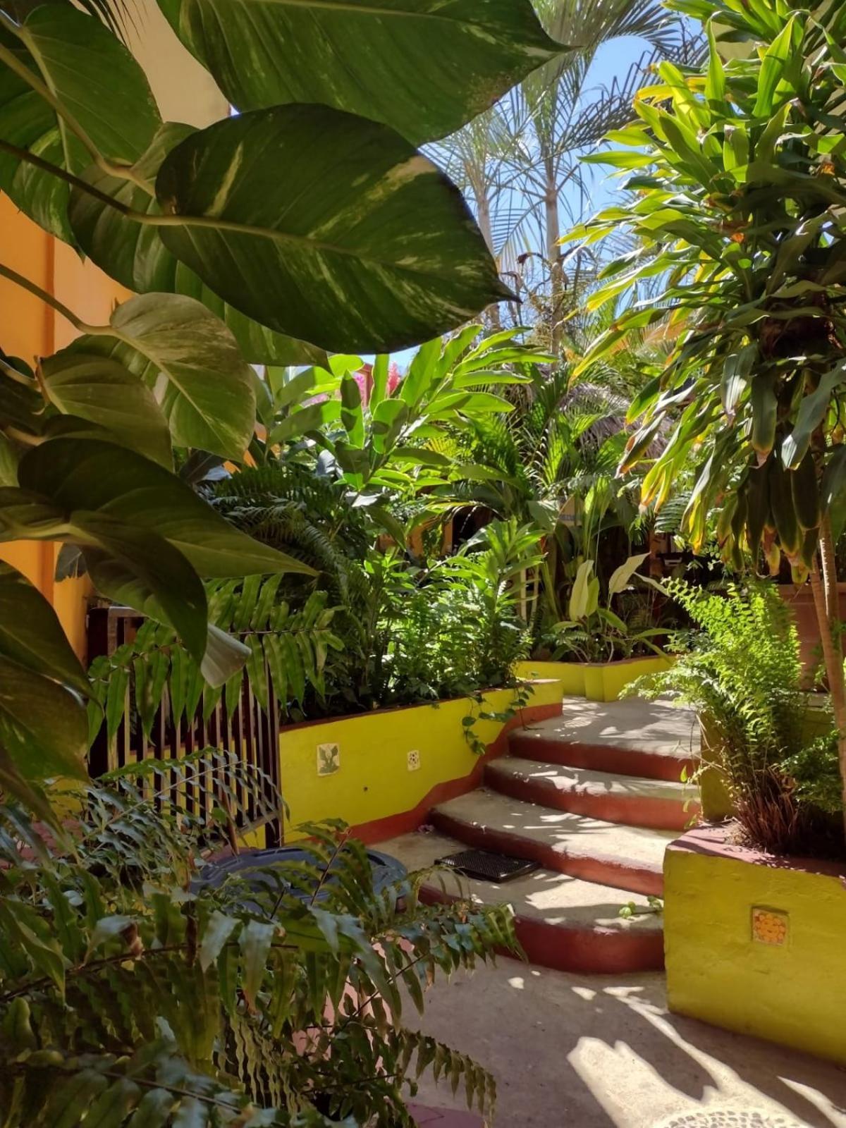 Hotel La Cabana Puerto Ángel Exteriör bild