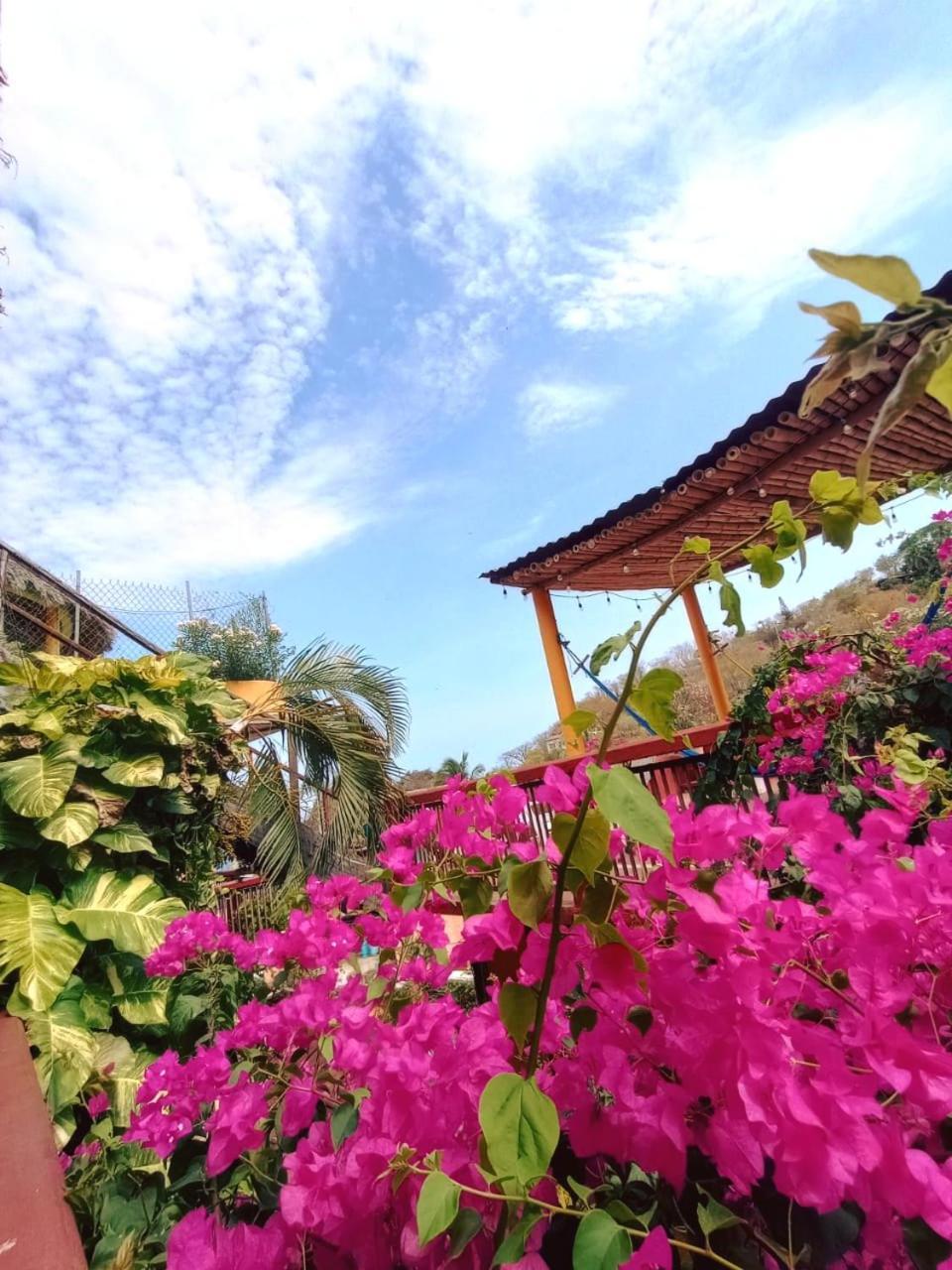 Hotel La Cabana Puerto Ángel Exteriör bild